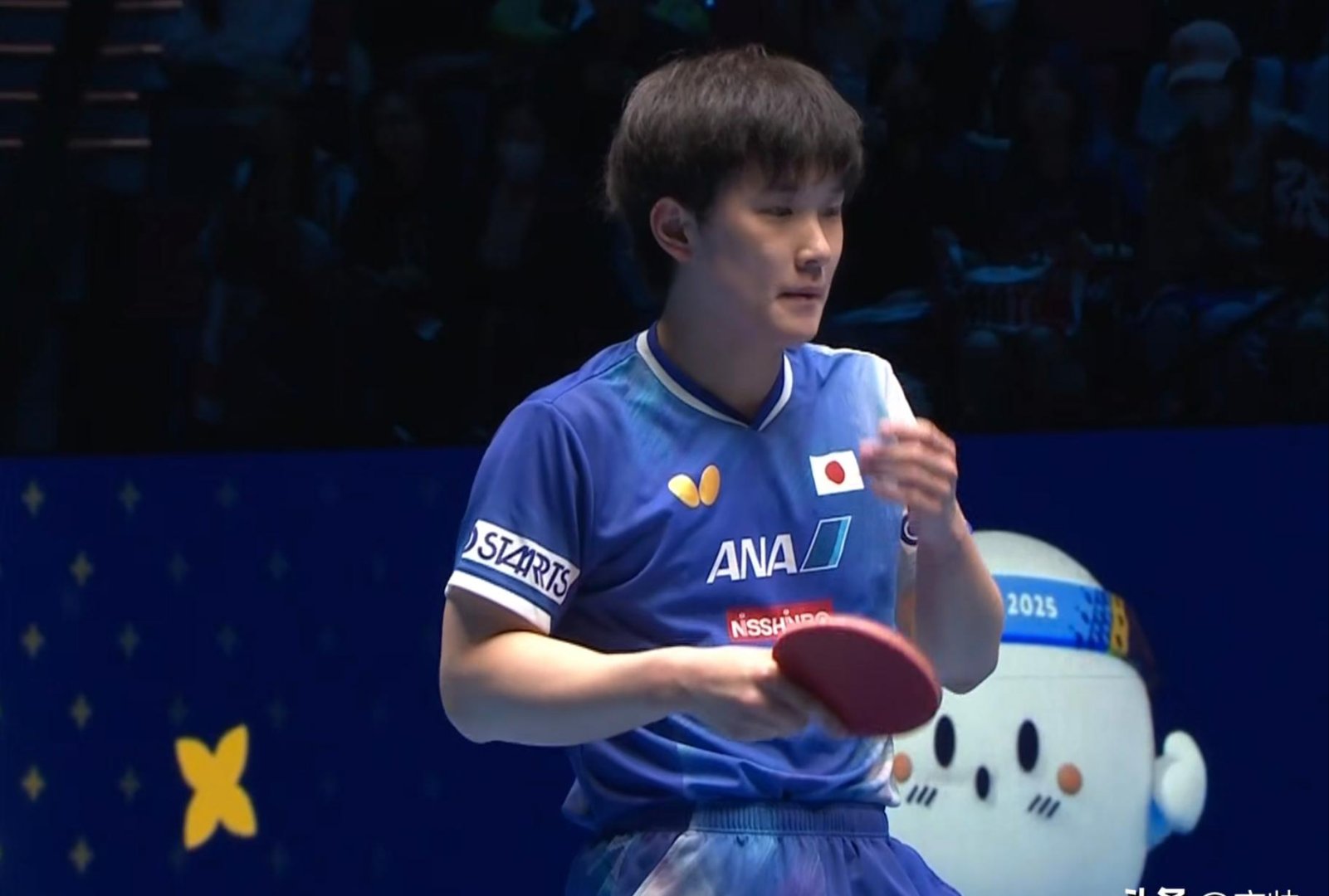 科维托娃在TL比赛中领先优势明显，大比分获胜引发热议！